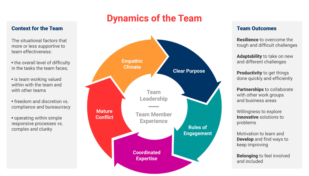 Dynamics of the team